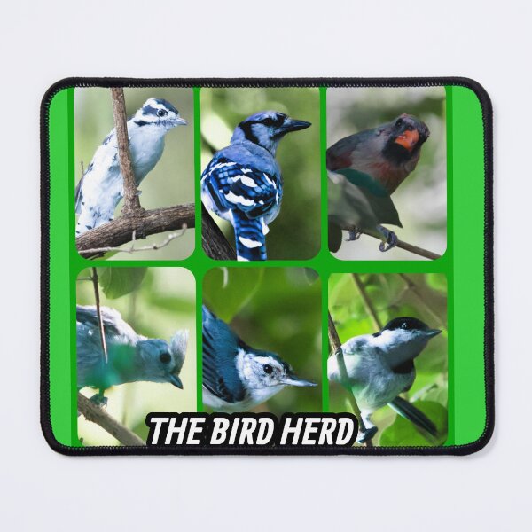 Item preview, THE BIRD HERD designed and sold by DooDopper Designs.