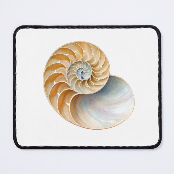 Item preview, Nautilus Shell - Spiral Watercolor designed and sold by Chaoscience.