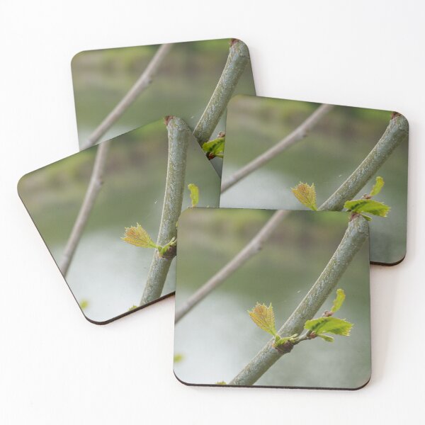 Item preview, Close up Photo of a Blooming Flower  designed and sold by Aquatic Lazuli.