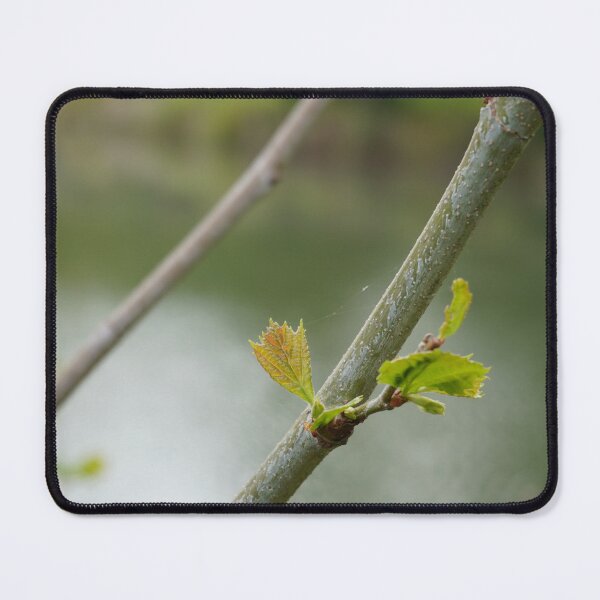 Item preview, Close up Photo of a Blooming Flower  designed and sold by Aquatic Lazuli.