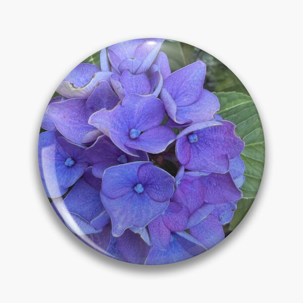 Item preview, Hydrangeas  designed and sold by ollvigb.