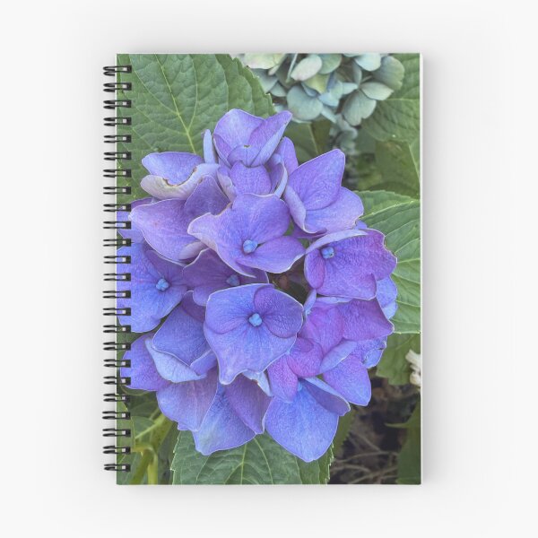 Item preview, Hydrangeas  designed and sold by ollvigb.