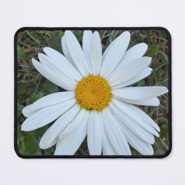 Item preview, Daisy flower designed and sold by ollvigb.