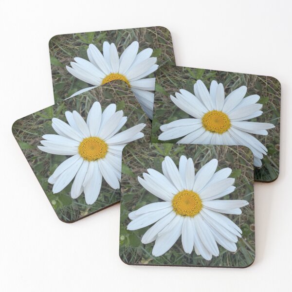 Item preview, Daisy flower designed and sold by ollvigb.