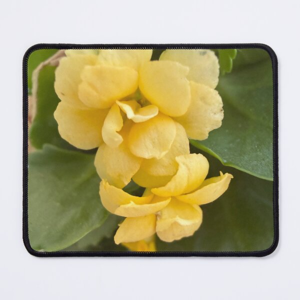 Item preview, Little yellow flower designed and sold by ollvigb.