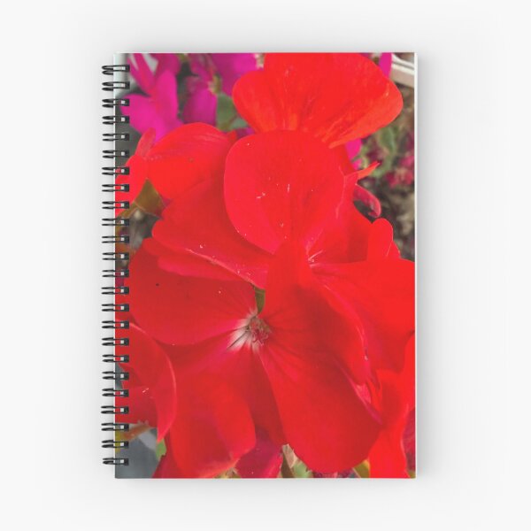 Aperçu de l'œuvre Fleur rouge éclatante créée et vendue par ollvigb.