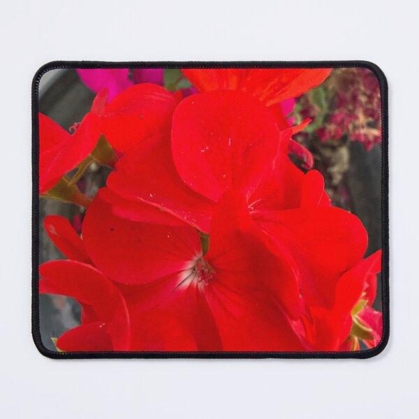 Item preview, Vibrant red flower designed and sold by ollvigb.
