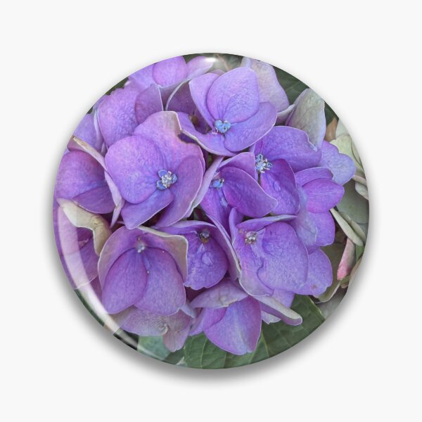 Item preview, Purple hydrangeas  designed and sold by ollvigb.