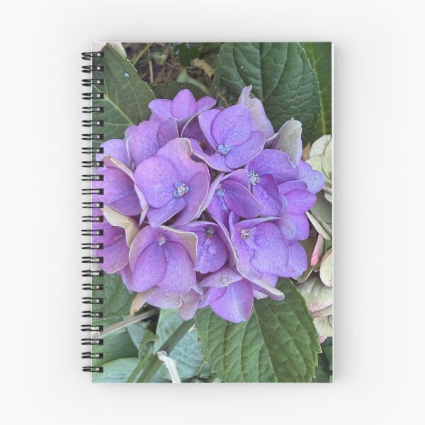 Item preview, Purple hydrangeas  designed and sold by ollvigb.