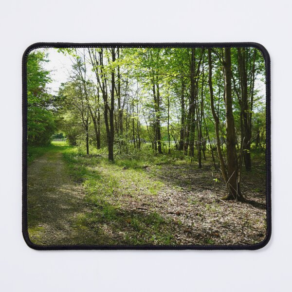 Item preview, Sunshine Through a Opening in a Forest designed and sold by Aquatic Lazuli.