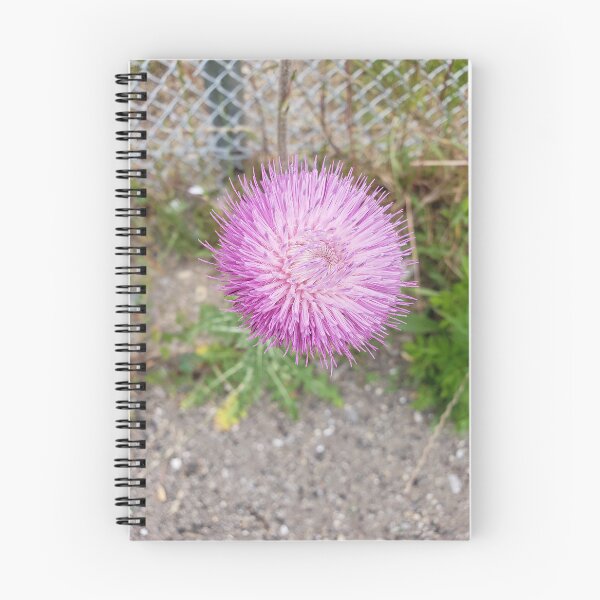 Item preview, Blooming Musk Thistle  designed and sold by concretebotany.