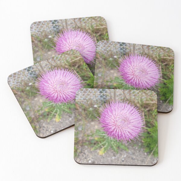 Item preview, Blooming Musk Thistle  designed and sold by concretebotany.
