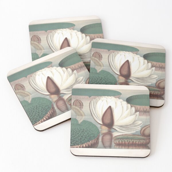 Item preview, Amazon Water Lily designed and sold by BlueSpecsStudio.