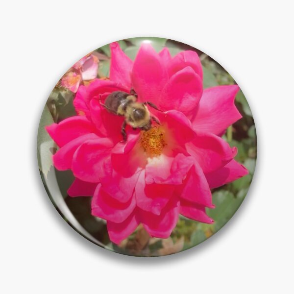 Item preview, Bumblebee on a Rose  designed and sold by Amanda1775.