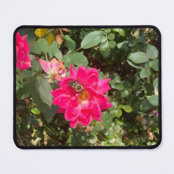 Item preview, Bumblebee on a Rose  designed and sold by Amanda1775.