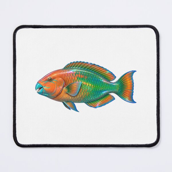 Item preview, Colorful Parrotfish Realistic Marine Art designed and sold by KenworksDigital.