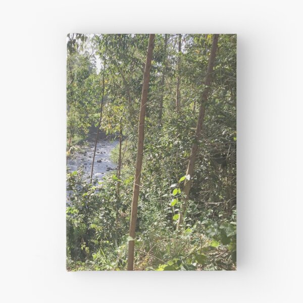 Item preview, Stream in the Woods, Kirinyaga County, Kenya designed and sold by PeaceUniversal.