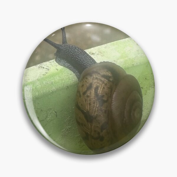 Item preview, Realistic Garden Snail Close-Up Macro Nature Photography designed and sold by immortalmoonimp.
