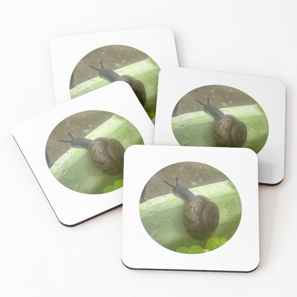 Item preview, Realistic Garden Snail Close-Up Macro Nature Photography designed and sold by immortalmoonimp.