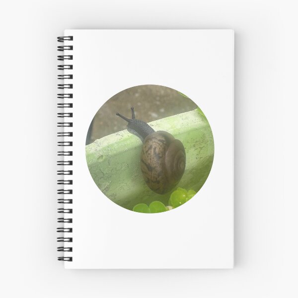 Item preview, Realistic Garden Snail Close-Up Macro Nature Photography designed and sold by immortalmoonimp.