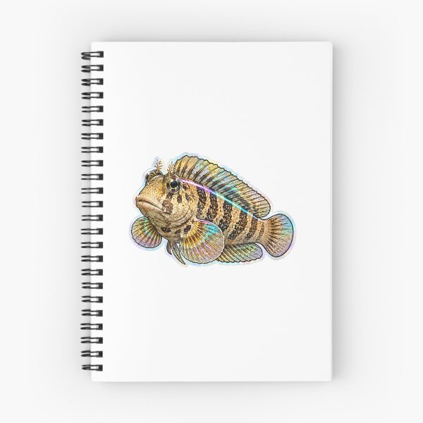 Item preview, Holographic Mottled Blenny Fish Sticker Art designed and sold by KenworksDigital.