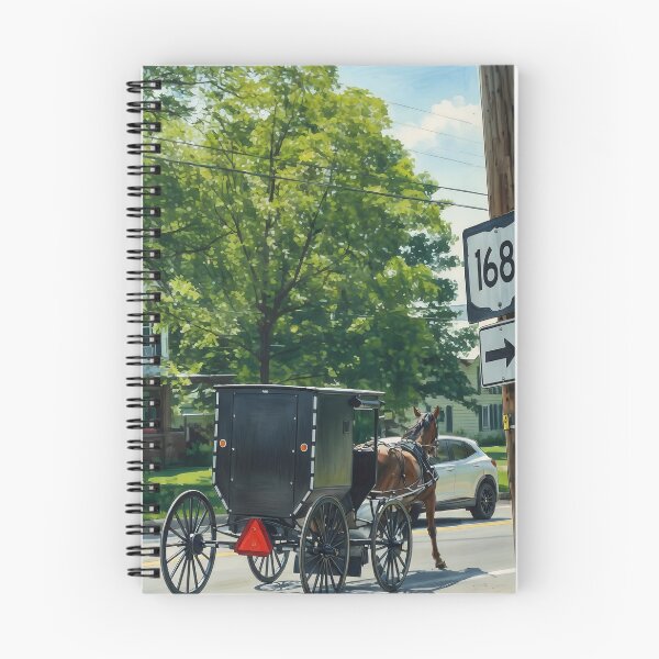 Item preview, Town Life in Amish Country designed and sold by The She Shed.