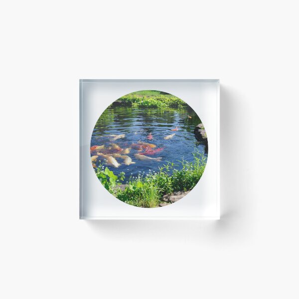 Artikelvorschau, Zen-Koi-Teich-Kreis entworfen und verkauft von latifasolaam.