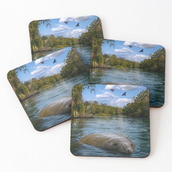 Item preview, Manatee and the fish designed and sold by Durfee Art.