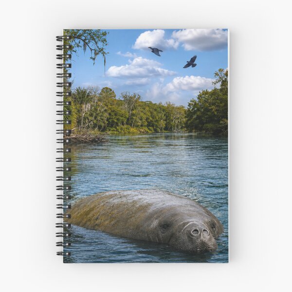 Item preview, Manatee and the fish designed and sold by Durfee Art.