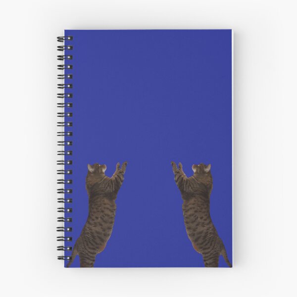 Item preview, Eddie The Climber, no longer with us , but reaching higher up in the Sky. designed and sold by michaelrodents.