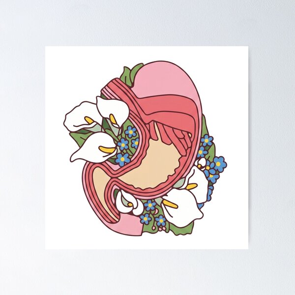 Item preview, Floral Anatomical Stomach - Botanical Medical Art designed and sold by Shopeon Designs.