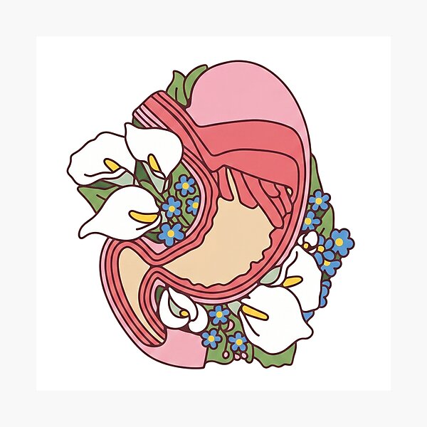Item preview, Floral Anatomical Stomach - Botanical Medical Art designed and sold by Shopeon Designs.
