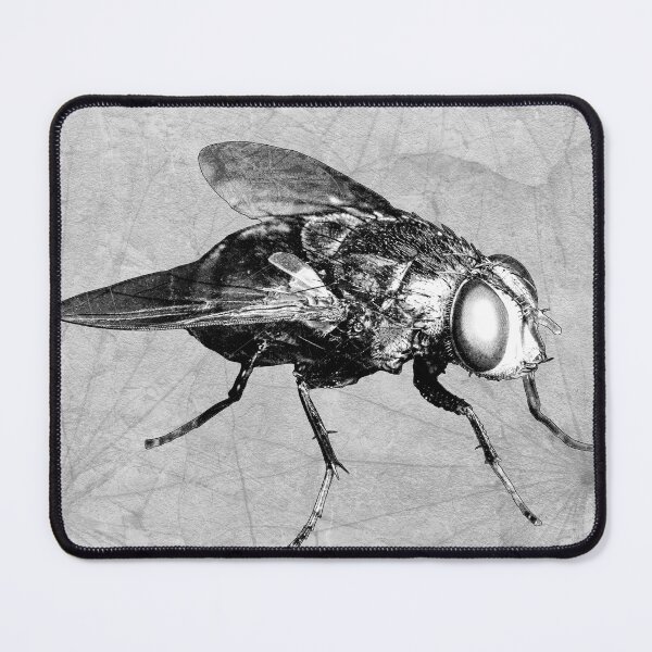 Item preview, Bottle Fly Dark Macro Entomology Specimen designed and sold by Ghoul Enterprises.