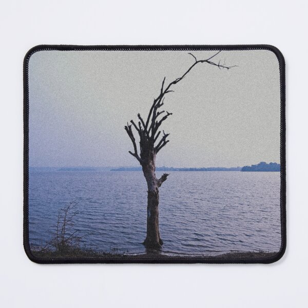 Item preview, The Last Tree Standing designed and sold by studio-ladybug.