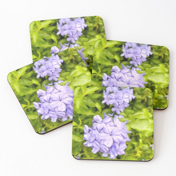 Item preview, Lavender Plumbago Blossoms in a Lush Green Garden designed and sold by pbchan.