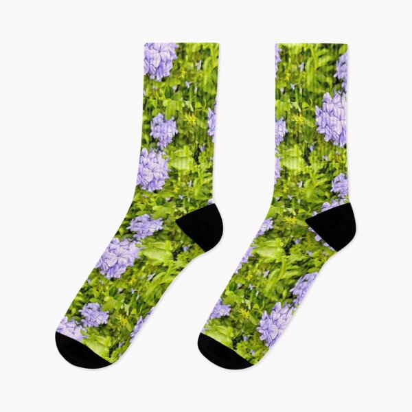 Item preview, Lavender Plumbago Blossoms in a Lush Green Garden designed and sold by pbchan.