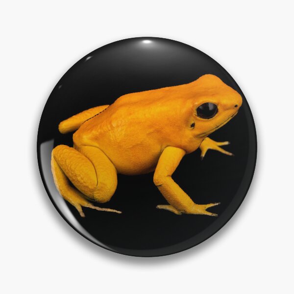Item preview, Phyllobates terribilis (Golden Poison Dart Frog) designed and sold by Cozy-Croaker.