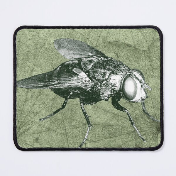 Item preview, Green Bottle Fly Dark Macro Entomology Specimen designed and sold by Ghoul Enterprises.