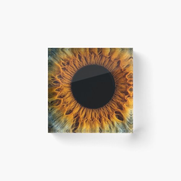 Item preview, Amber Hazel Gold Human Iris Macro Eye Texture Art designed and sold by LYAN-STORE.