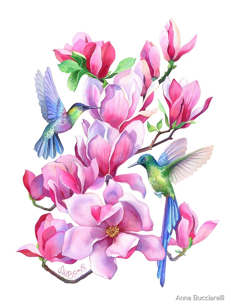 "Hummingbirds in Magnolia Tree" by Anna Bucciarelli Redbubble