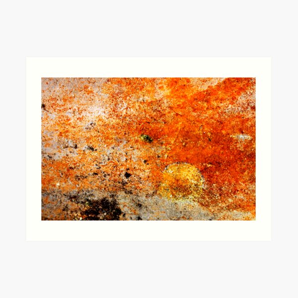 Sunrise Art Print