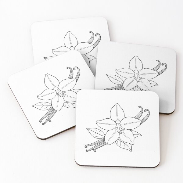 Item preview, A vanilla flower blooming on a thin vine in sketch style designed and sold by rasagamastore.