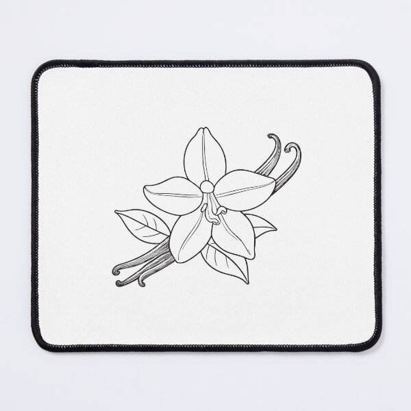 Item preview, A vanilla flower blooming on a thin vine in sketch style designed and sold by rasagamastore.