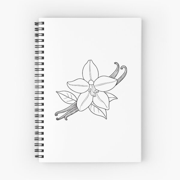 Item preview, A vanilla flower blooming on a thin vine in sketch style designed and sold by rasagamastore.