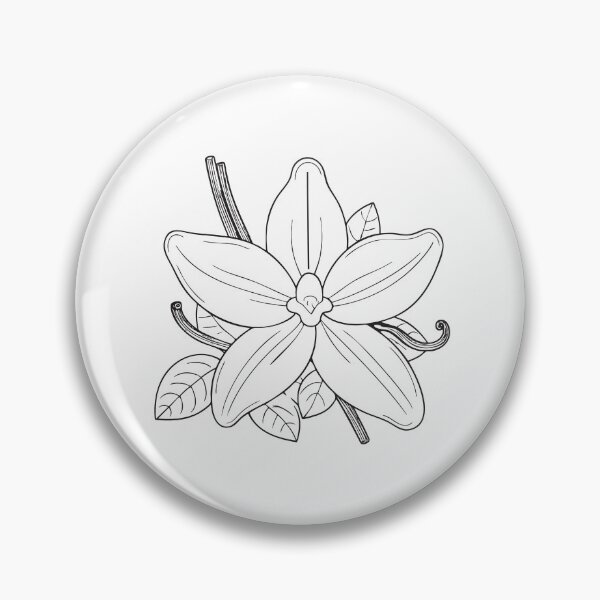 Item preview, A vanilla blossom blooming on a slender vine in doodle sketch designed and sold by rasagamastore.