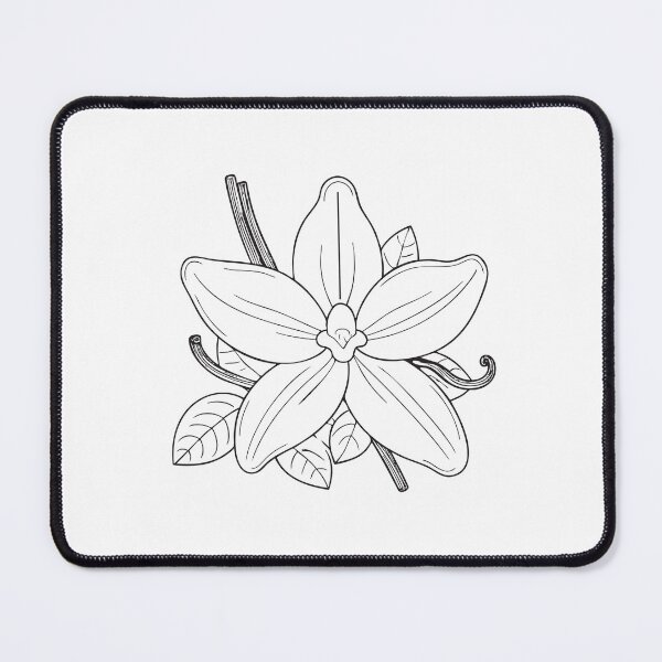 Item preview, A vanilla blossom blooming on a slender vine in doodle sketch designed and sold by rasagamastore.