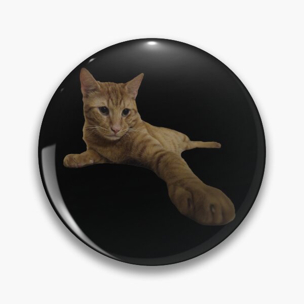 Item preview, Cute Ginger Tabby Cat Reaching Out on Black Background designed and sold by Yanshuf.