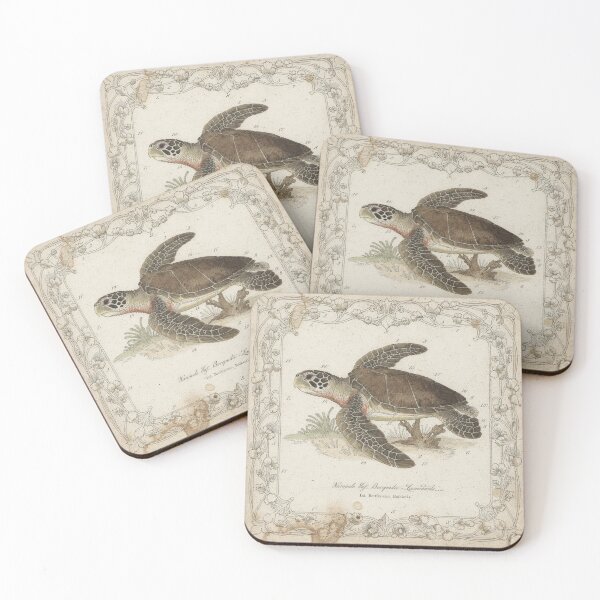 Item preview, Vintage Sea Turtle Natural History Specimen Plate designed and sold by PictorialWhimsy.