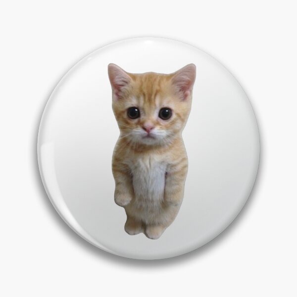 Item preview, El Gato Cat designed and sold by KxDsouzx.