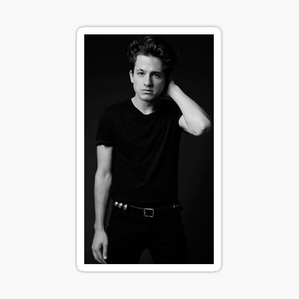 "Charlie Puth " Sticker By Brunocriss | Redbubble